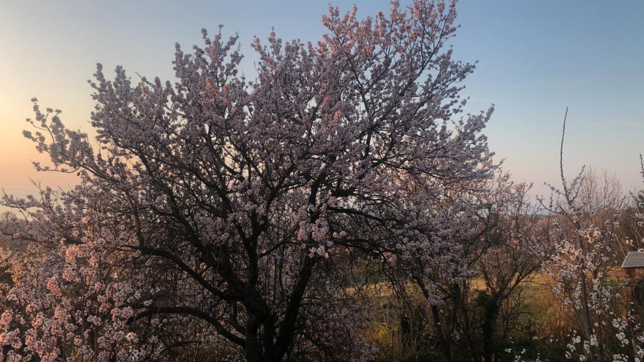 فيلا Panorama Balaton Balatongyörök المظهر الخارجي الصورة